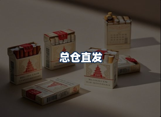 专业团队办公环境